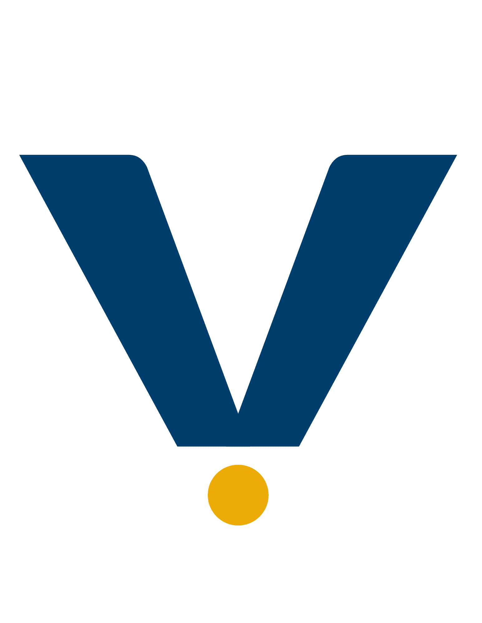 Veyro Group watermark